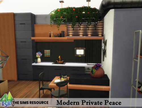 Modern Private Peace NO CC