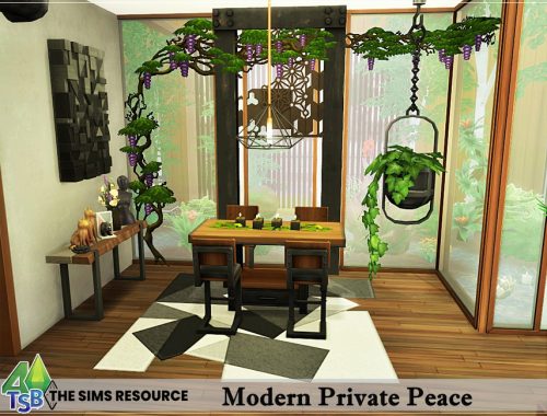 Modern Private Peace NO CC