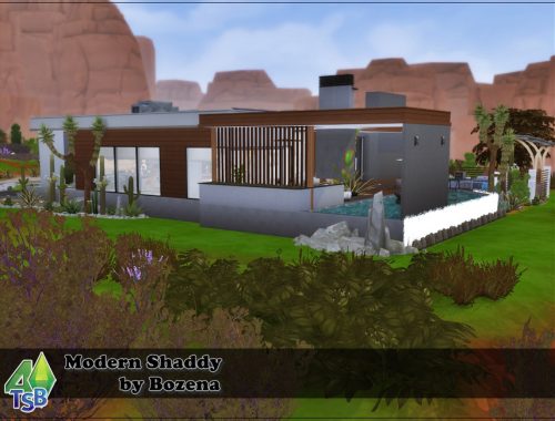 Modern Shaddy