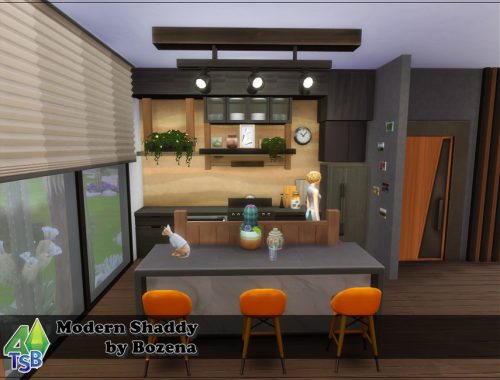 Modern Shaddy