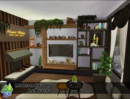 Modern Shaddy