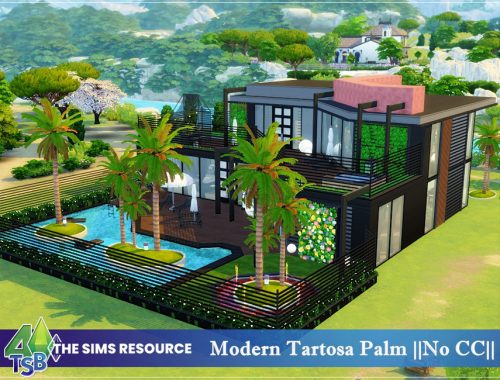 Modern Tartosa Palm || NO CC ||