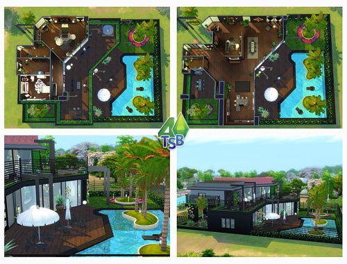 Modern Tartosa Palm || NO CC ||