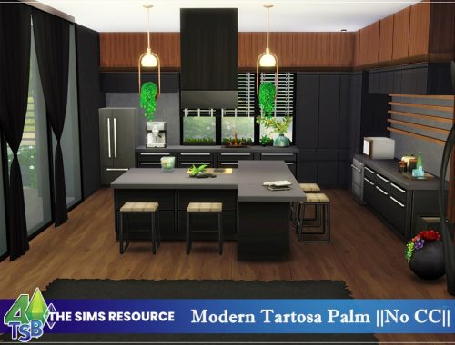 Modern Tartosa Palm || NO CC ||
