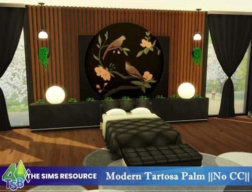 Modern Tartosa Palm || NO CC ||