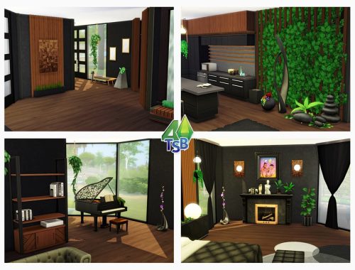 Modern Tartosa Palm || NO CC ||