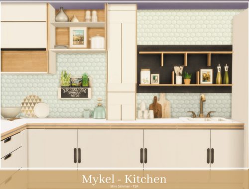Mykel Kitchen