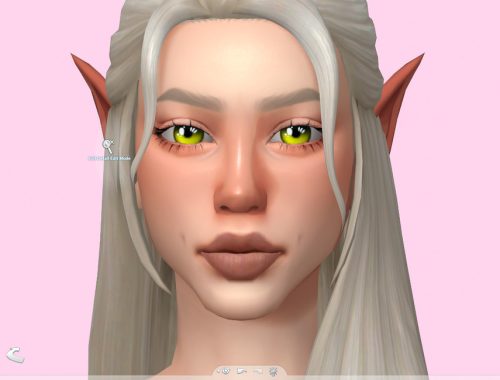 N1 Eyes
