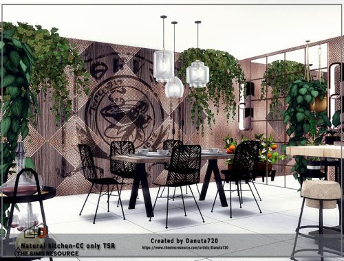 Natural kitchen-CC only TSR