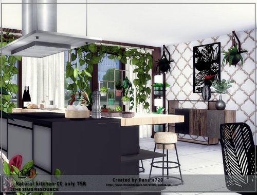 Natural kitchen-CC only TSR