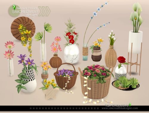 Naturalis Flowers
