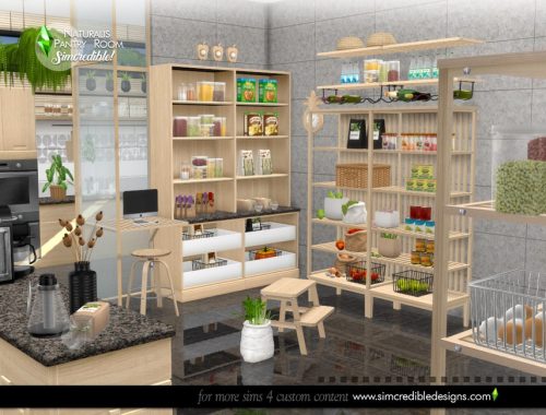 Naturalis Pantry Room