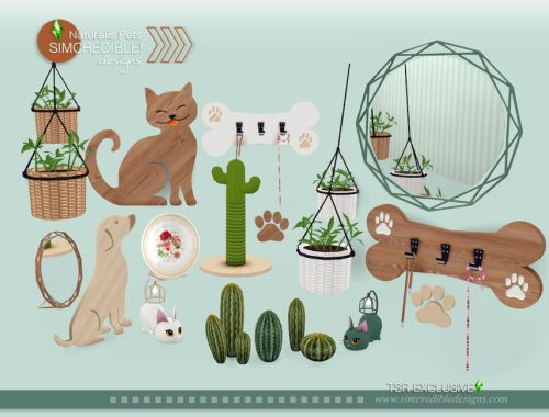 Naturalis Pets decor