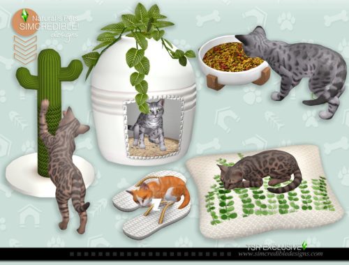 Naturalis Pets decor