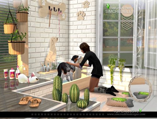 Naturalis Pets