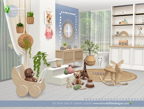 Naturalis Toys and Extras