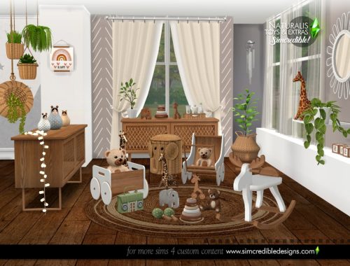 Naturalis Toys and Extras