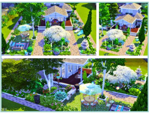 Neat Cottage