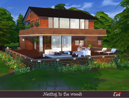 Nesting in the woods