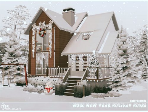 New Year Holiday Home No CC