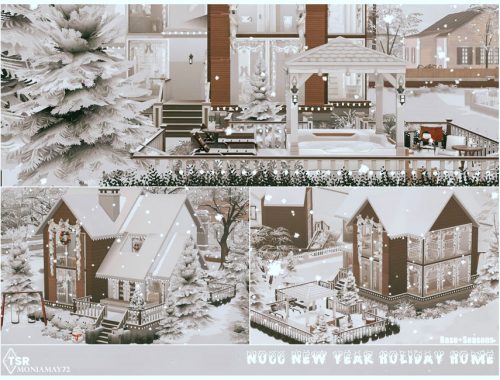 New Year Holiday Home No CC