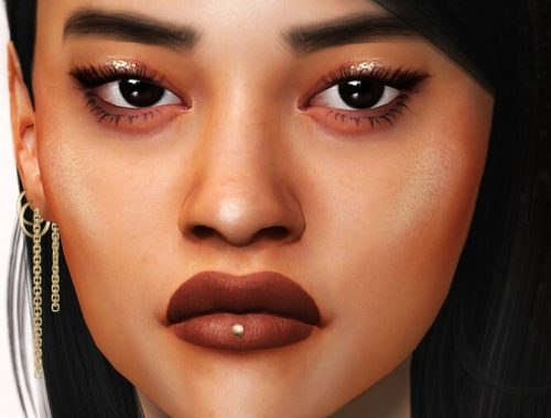 NOVEMBER Eyebrow Pack at Praline Sims