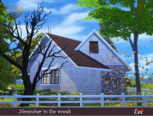 November in the woods