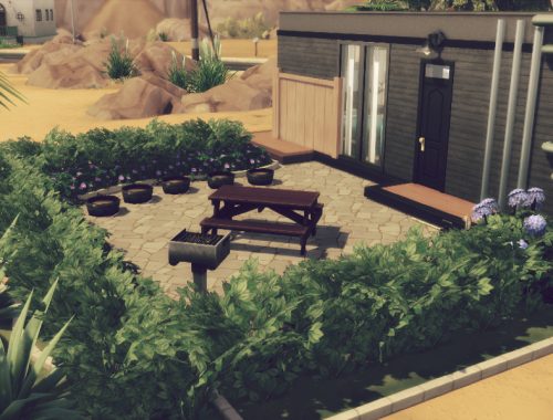 Oasis starter v1