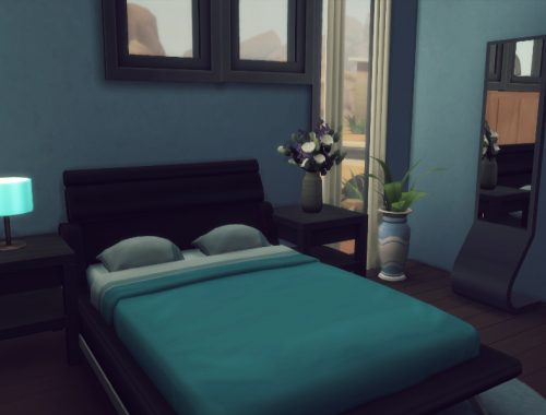 Oasis starter v1