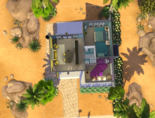 Oasis starter v2