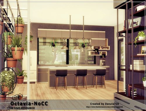 Octavia-No CC