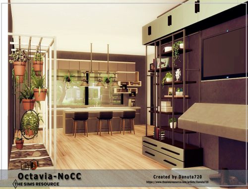 Octavia-No CC