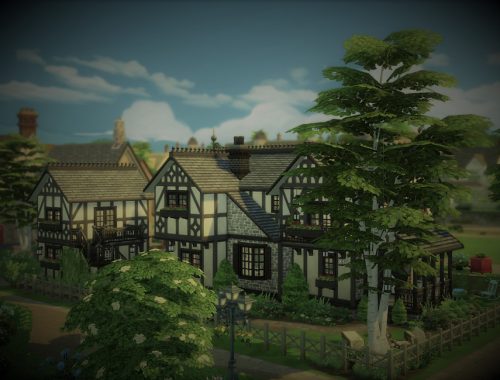 Old Medieval Farmhouse no cc