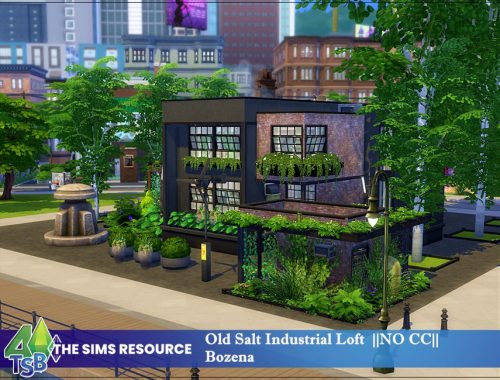 Old Salt Industrial Loft || NO CC ||