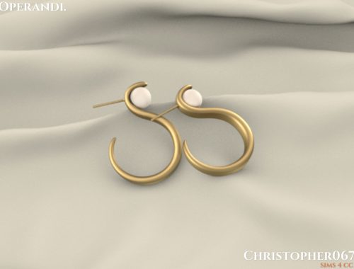 Operandi Earrings / Christopher067