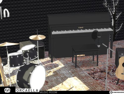 Orcaella Music Room