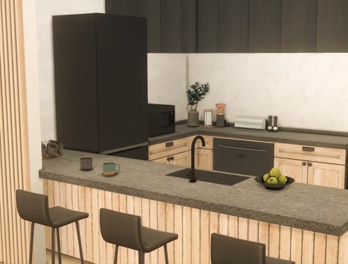 Otto Kitchen (TSR only CC)