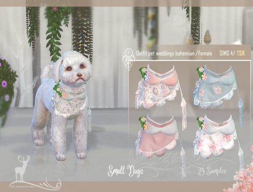 Outfit pet weddings bohemian Small Dog