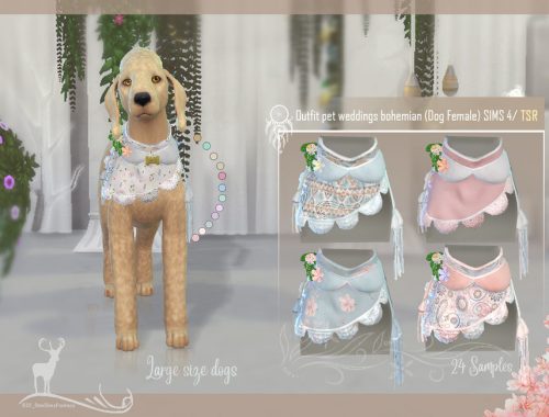 Outfit pet weddings bohemian