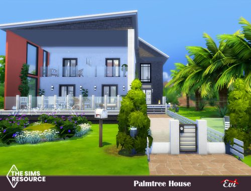 Palmtree house_no CC