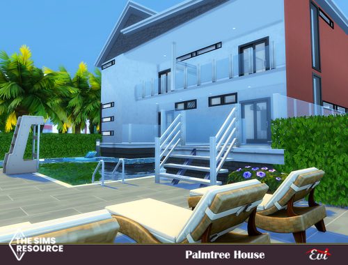 Palmtree house_no CC