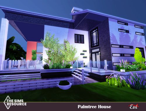 Palmtree house_no CC