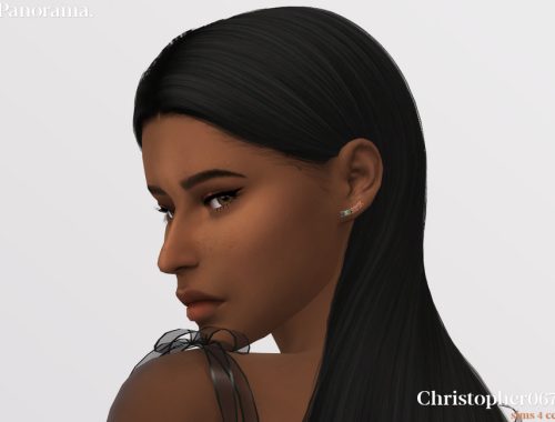 Panorama Earrings