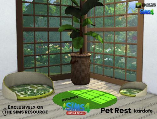 Pet rest