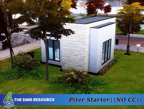 Piter - Starter