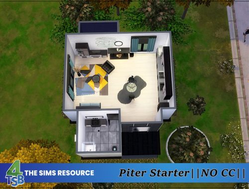 Piter - Starter