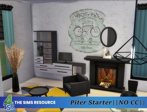 Piter - Starter