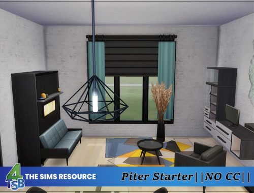 Piter - Starter