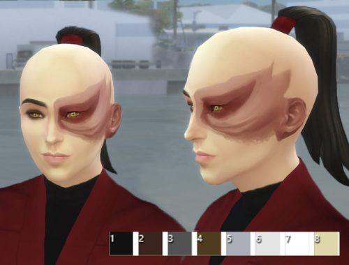 Prince Zuko's ponytail hair from "Avatar the last Airbender"