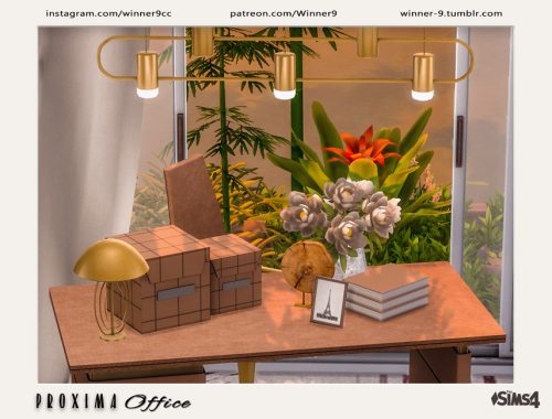 Proxima Office Decorations